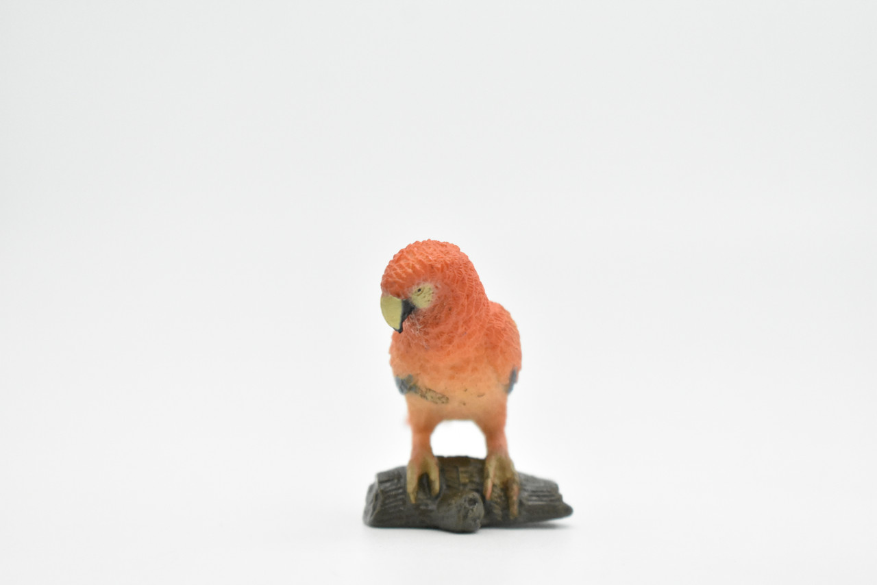 Parrot, Museum Quality, Realistic, Plastic, Bird Design, Educational, Hand Painted, Figure, Lifelike, Model, Figurine, Replica, Gift,           3"     CWG202 BB45