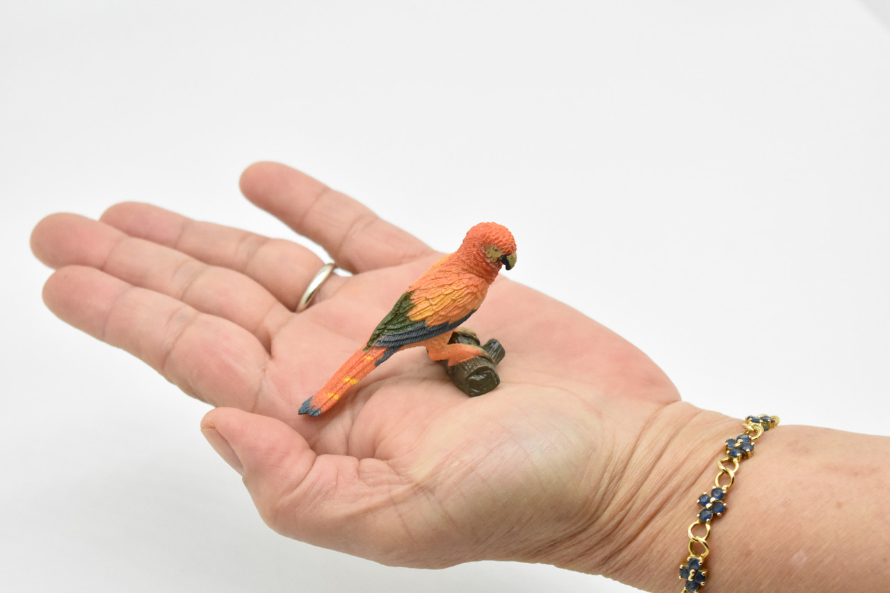 Parrot, Museum Quality, Realistic, Plastic, Bird Design, Educational, Hand Painted, Figure, Lifelike, Model, Figurine, Replica, Gift,           3"     CWG202 BB45