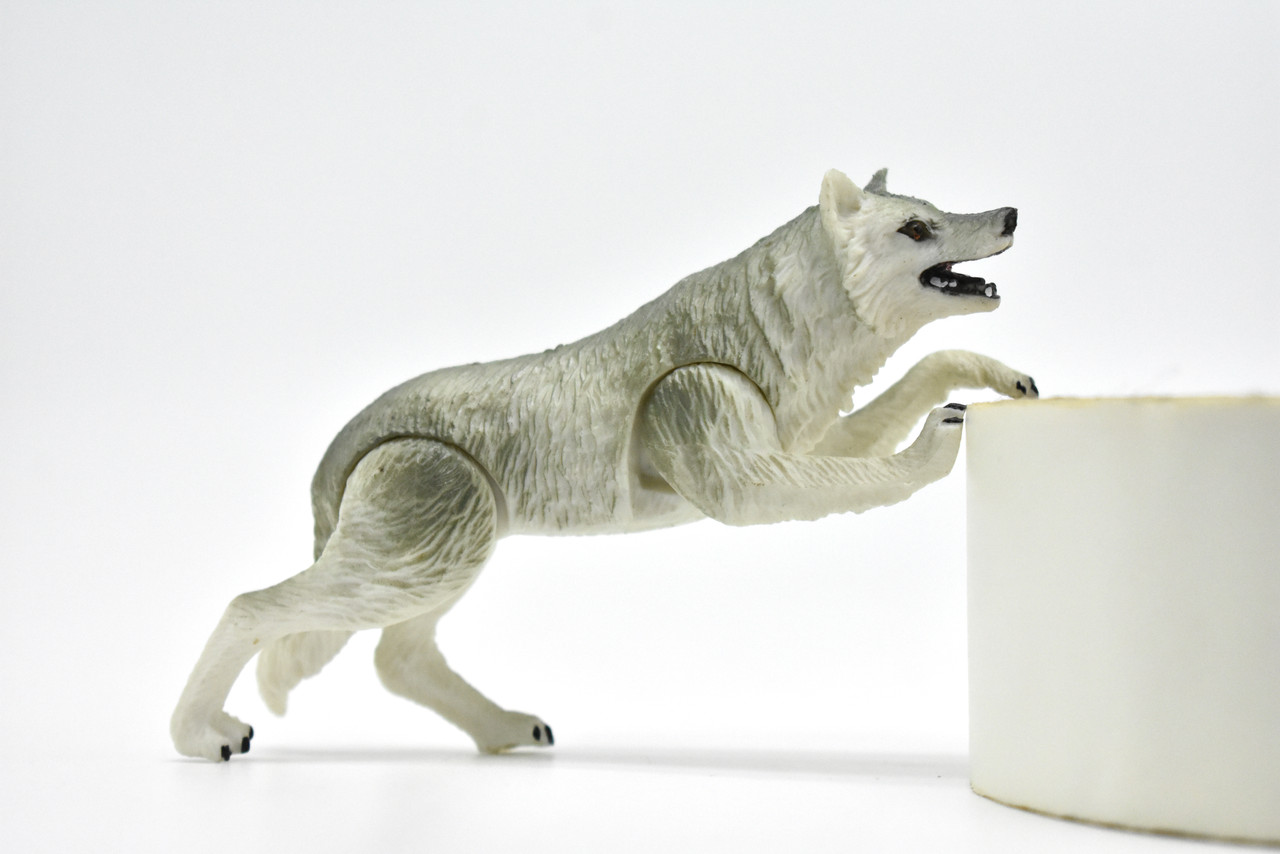Artic Wolf, White wolf, Museum Quality, Movable Legs, Hand Painted, Realistic, Plastic Animal Design, Educational, Diorama Model, Lifelike, Toy,  4 Inches. 