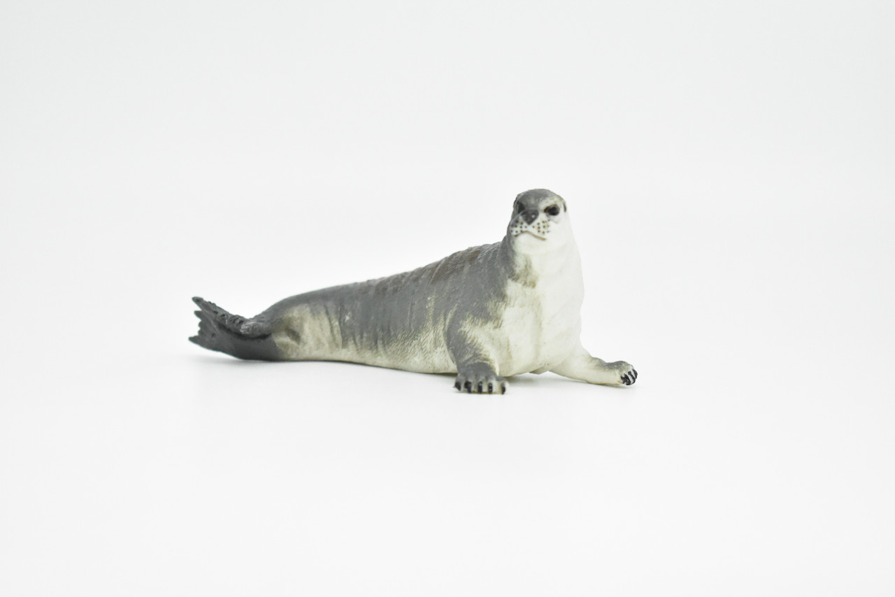 Seal, Grey Seal, Museum Quality, Realistic, Plastic, Animal Design, Educational, Hand Painted, Figure, Lifelike, Model, Replica, Gift   4"    CWG211 BB42