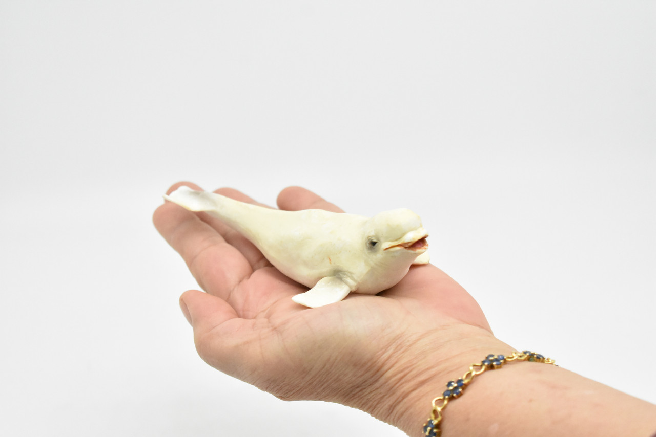 Beluga Whale, White whale, Melonhead, Museum Quality, Realistic Plastic Animal Design, Hand Painted, Educational, Lifelike, Diorama Model, Toy, Kids,  5 Inches. 