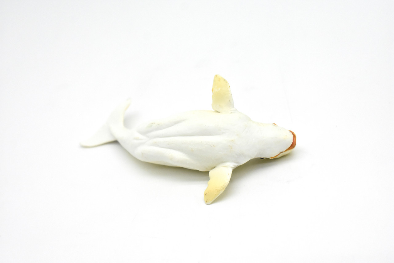 Beluga Whale, White whale, Melonhead, Museum Quality, Realistic Plastic Animal Design, Hand Painted, Educational, Lifelike, Diorama Model, Toy, Kids,  5 Inches. 