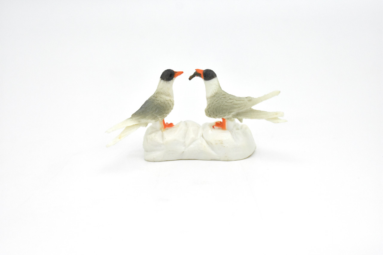 Artic Terns , Museum Quality Rubber Animal, Educational, Toy, Realistic Hand Painted Figure, Lifelike Model, Figurine    2"   CWG214 BB42