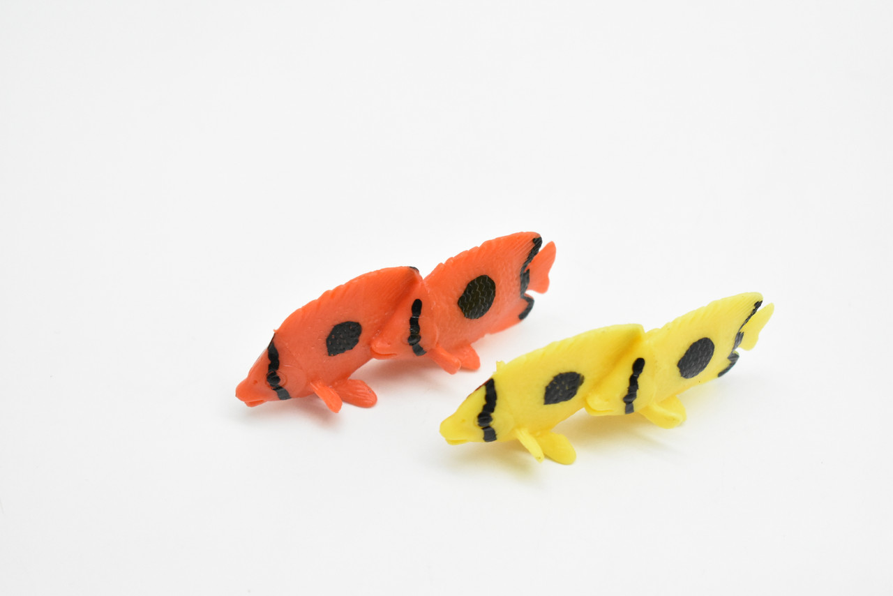 Tropical Fish Toy, Set of 2, Model, Figure, Figurine, Very Nice Quality Rubber Replica, Hand Painted     2"    CWG216 BB46