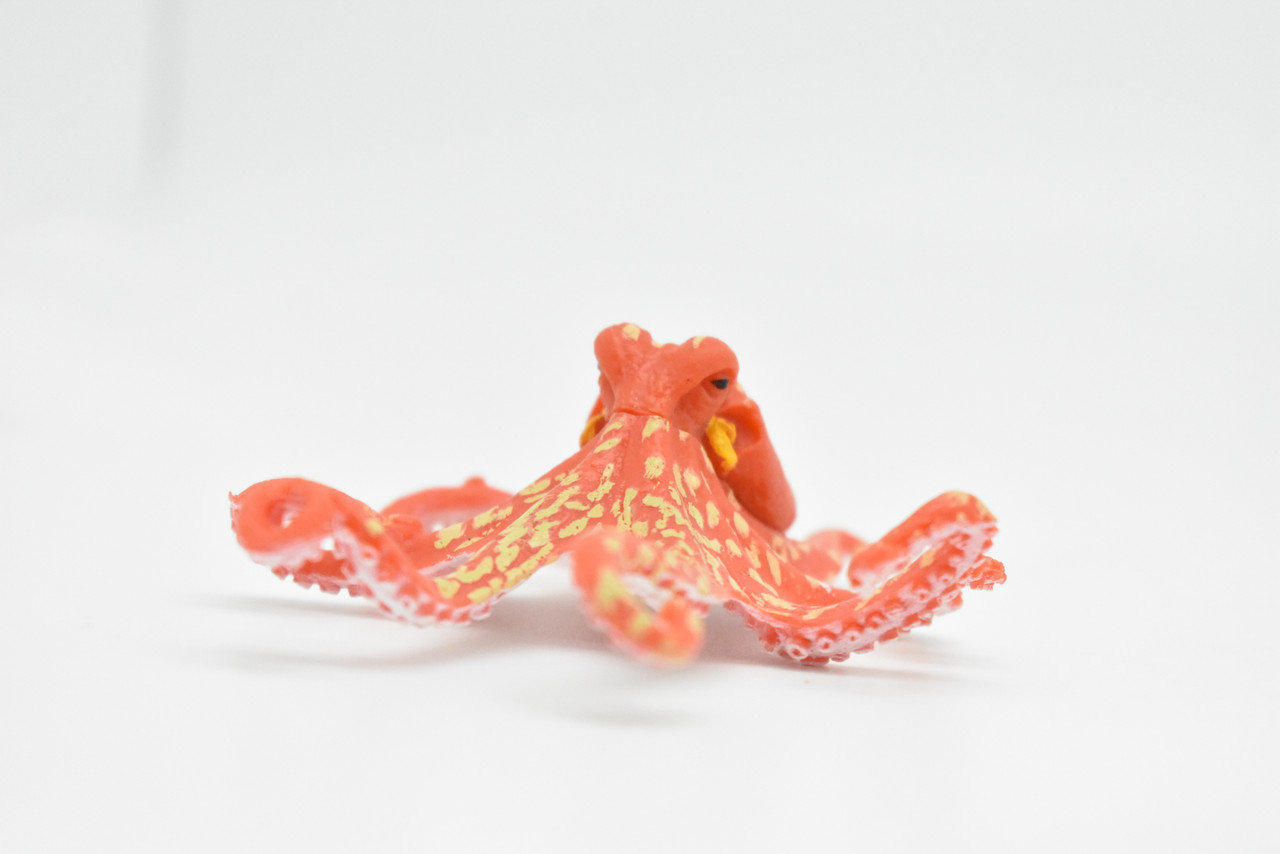 Octopus, Very Nice Rubber Animal, Educational, Toy, Kids, Realistic Figure, Lifelike Model, Figurine, Replica Gift Hand Painted   3"   CWG219 BB46