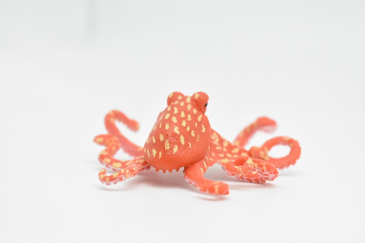 Octopus, Very Nice Rubber Animal, Educational, Toy, Kids, Realistic Figure, Lifelike Model, Figurine, Replica Gift Hand Painted   3"   CWG219 BB46
