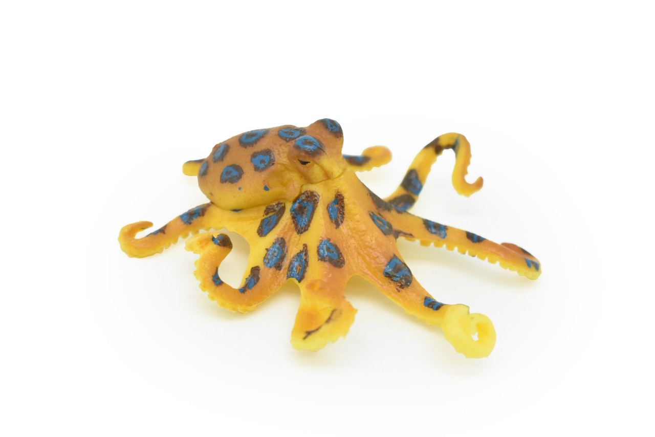 Blue Ringed Octopus Toy, Realistic, Hand Painted    3"    CWG220 BB46