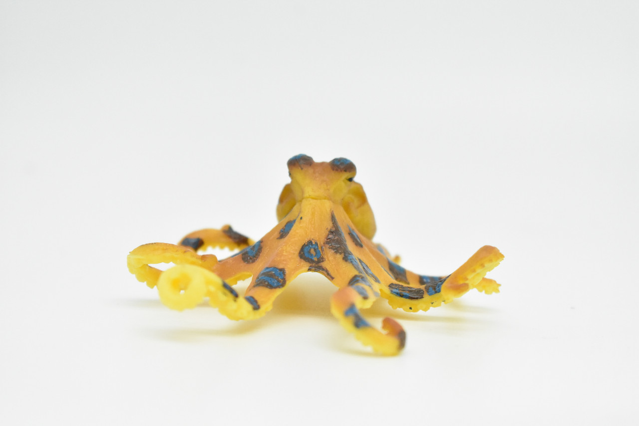 Blue Ringed Octopus Toy, Realistic, Hand Painted    3"    CWG220 BB46