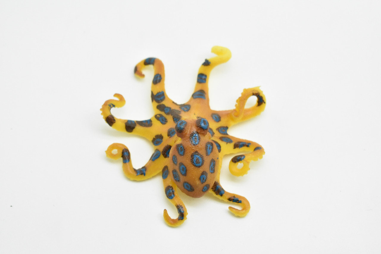 Blue Ringed Octopus Toy, Realistic, Hand Painted    3"    CWG220 BB46