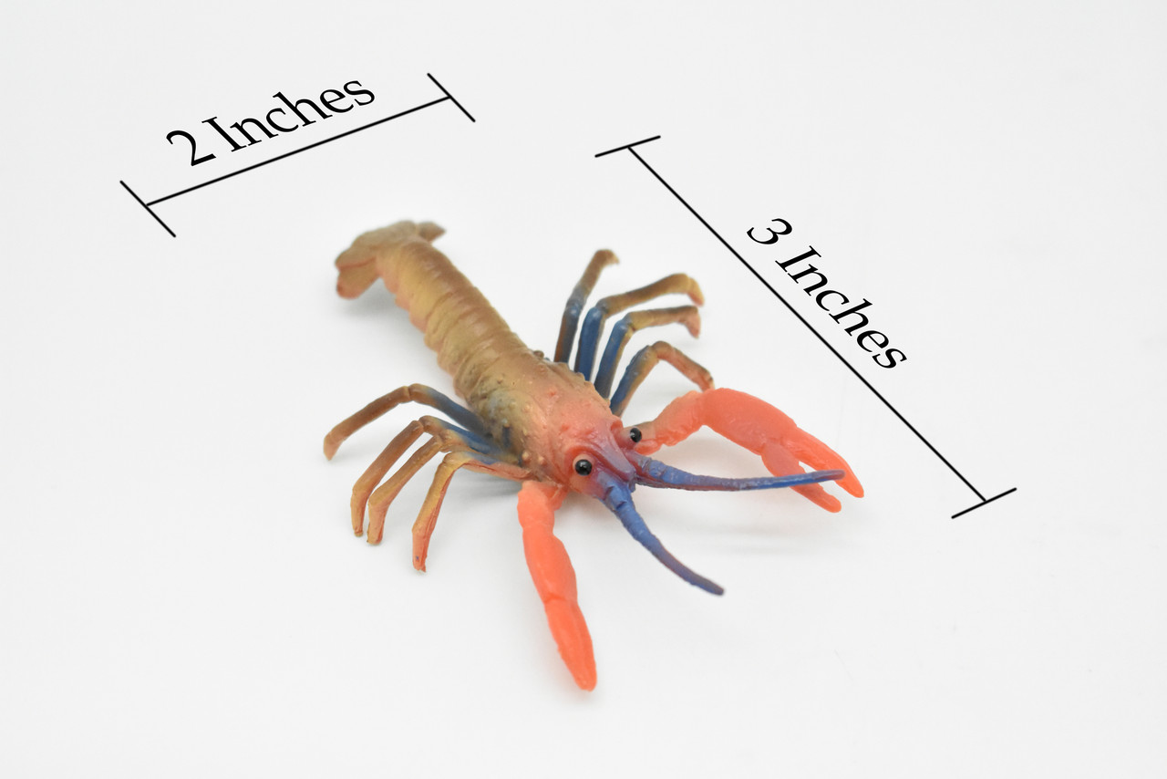 Lobster, Homarus americanus, Hand Painted, Realistic, Solid Rubber, Saltwater, Educational Model,  Figure, Lifelike, Diorama Model, Replica, Toy,  3 Inches.