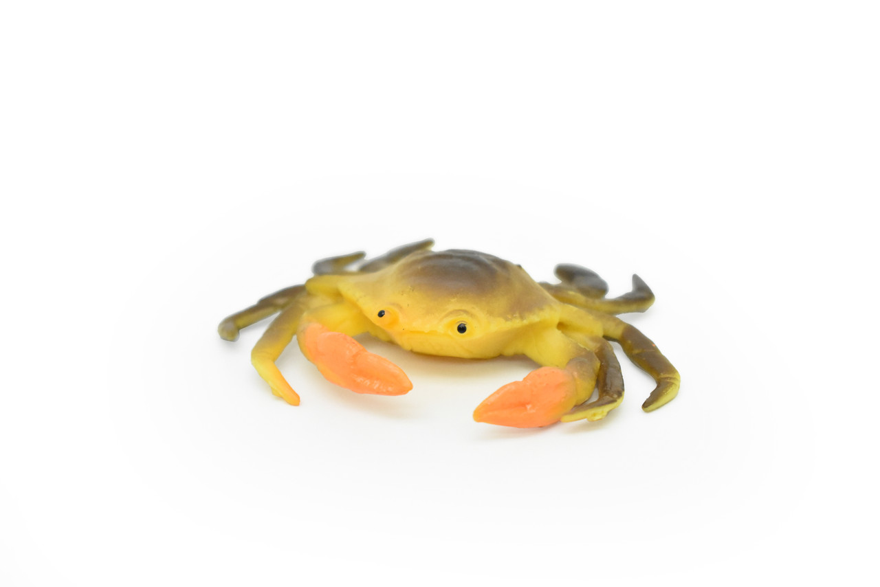 Crab, Saltwater, Crustacean Design, Cancer productus, Hand Painted, Realistic, Solid Rubber, Educational Figure, Lifelike, Diorama Model, Toy, 2 1/2 Inches. 