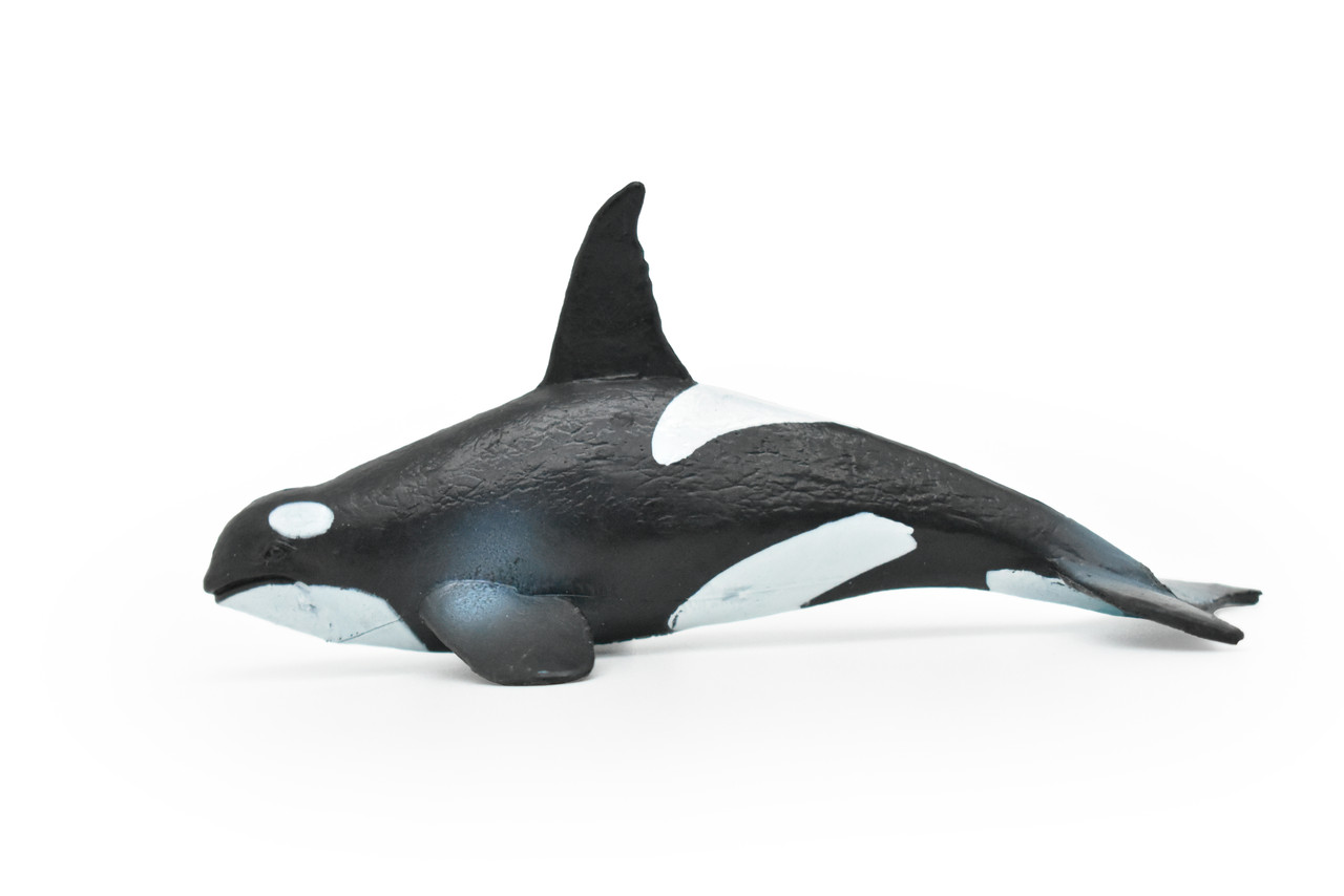 Orca, Killer Whale, Very Nice Rubber Animal, Educational, Toy, Kids, Realistic Figure, Lifelike Hand Painted Model, Figurine,   5"     CWG226 BB46