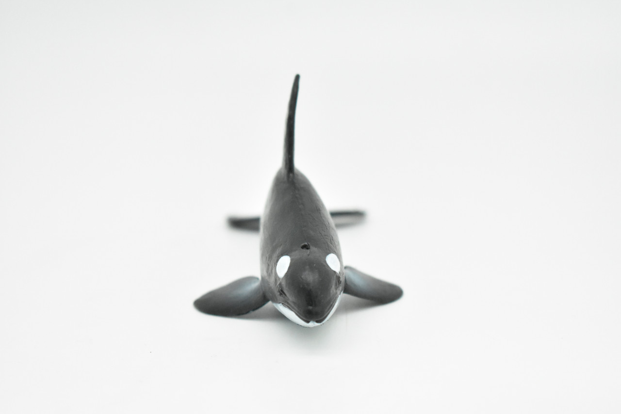 Orca, Killer Whale, Very Nice Rubber Animal, Educational, Toy, Kids, Realistic Figure, Lifelike Hand Painted Model, Figurine,   5"     CWG226 BB46