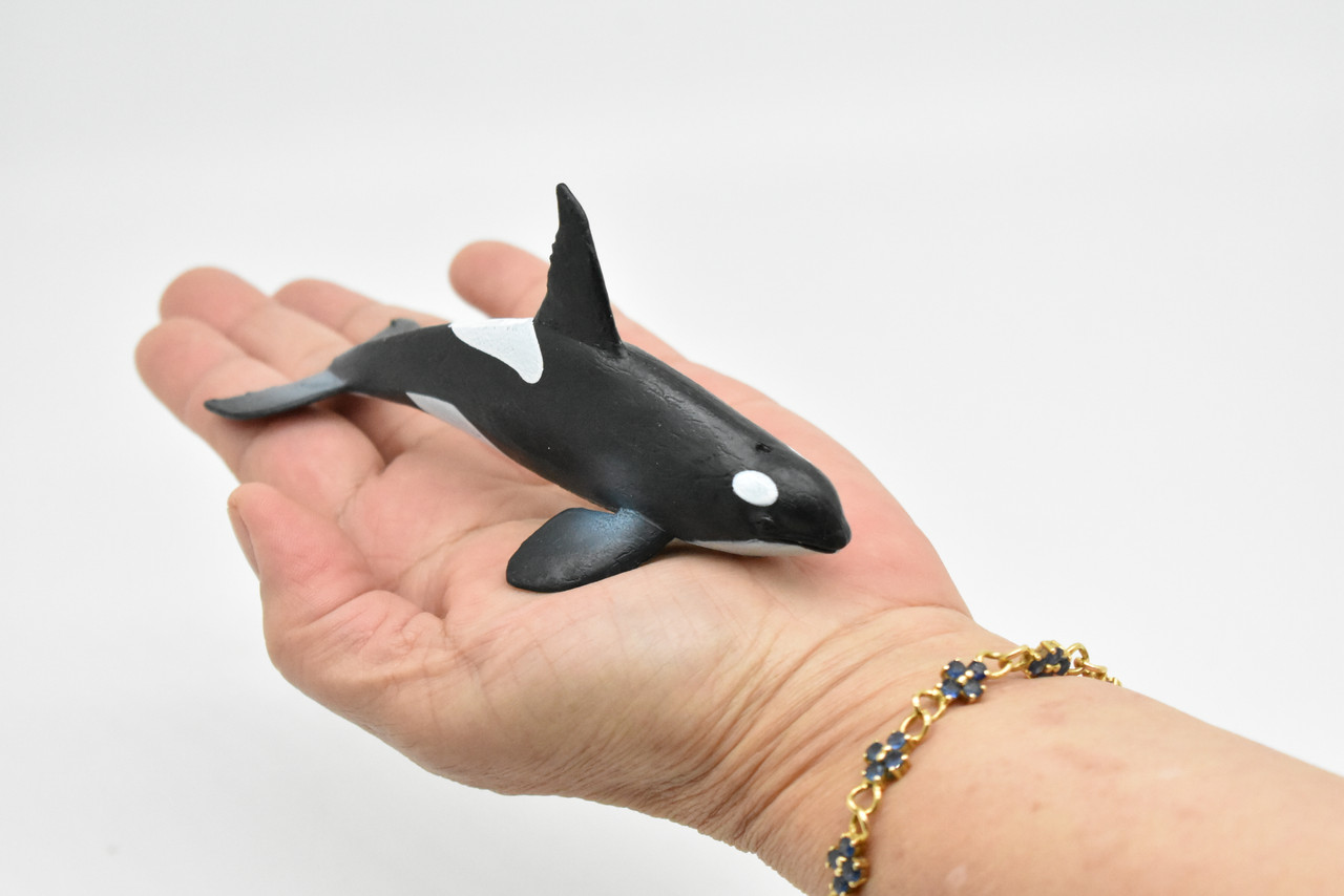 Orca, Killer Whale, Very Nice Rubber Animal, Educational, Toy, Kids, Realistic Figure, Lifelike Hand Painted Model, Figurine,   5"     CWG226 BB46