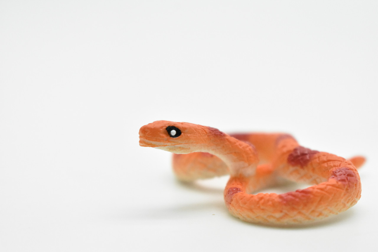 Corn Snake, Orange and Red, Realistic, Plastic, Snake Design, Educational, Hand Painted, Figure, Lifelike Model, Gift      2 Inches. 