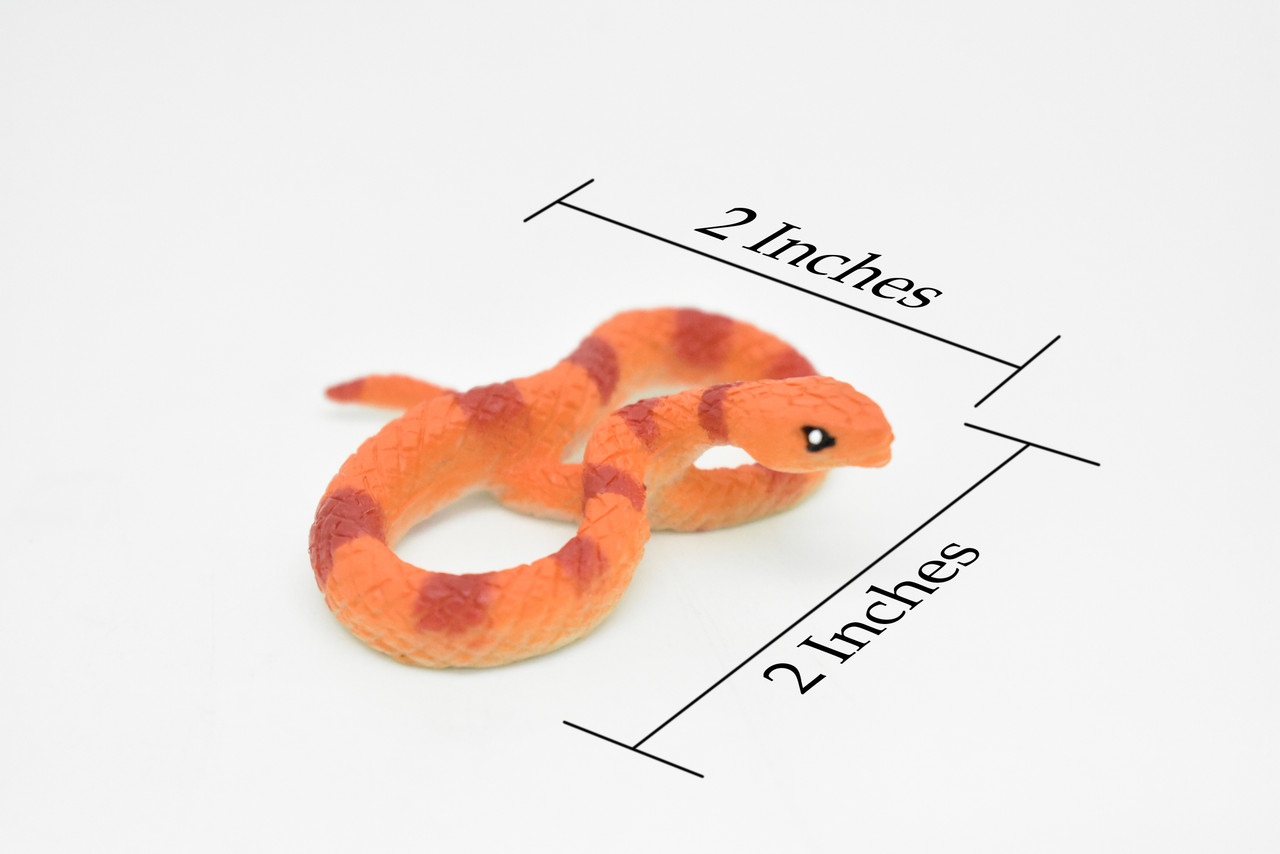 Corn Snake, Orange and Red, Realistic, Plastic, Snake Design, Educational, Hand Painted, Figure, Lifelike Model, Gift      2 Inches. 