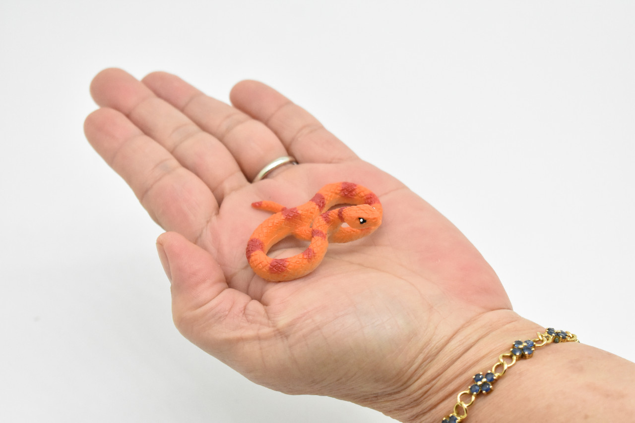 Corn Snake, Orange and Red, Realistic, Plastic, Snake Design, Educational, Hand Painted, Figure, Lifelike Model, Gift      2 Inches. 
