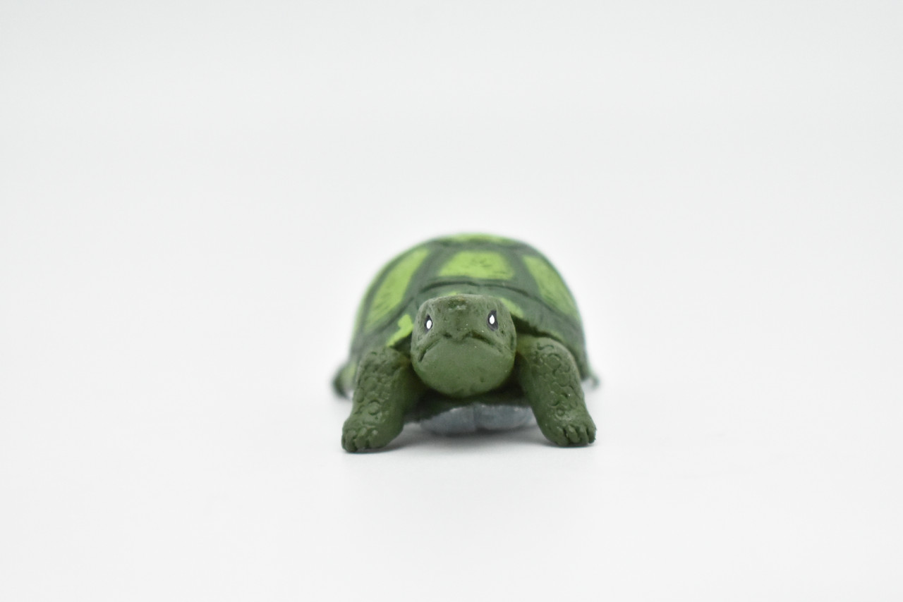 Tortoise, Turtle, Green, Realistic, Plastic, Reptile Design, Educational, Hand Painted, Figure, Lifelike, Model, Replica, Gift    2 Inches.  CWG231 B306