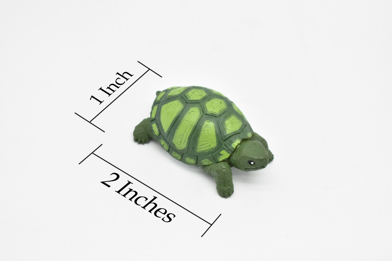 Tortoise, Turtle, Green, Realistic, Plastic, Reptile Design, Educational, Hand Painted, Figure, Lifelike, Model, Replica, Gift    2 Inches.
