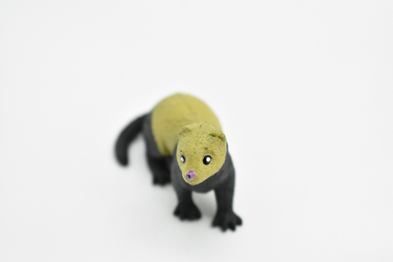 Ferret, Realistic, Educational, Hand Painted, Plastic Animal Design, Figure, Lifelike, Model, Replica, Gift    2 Inches. 