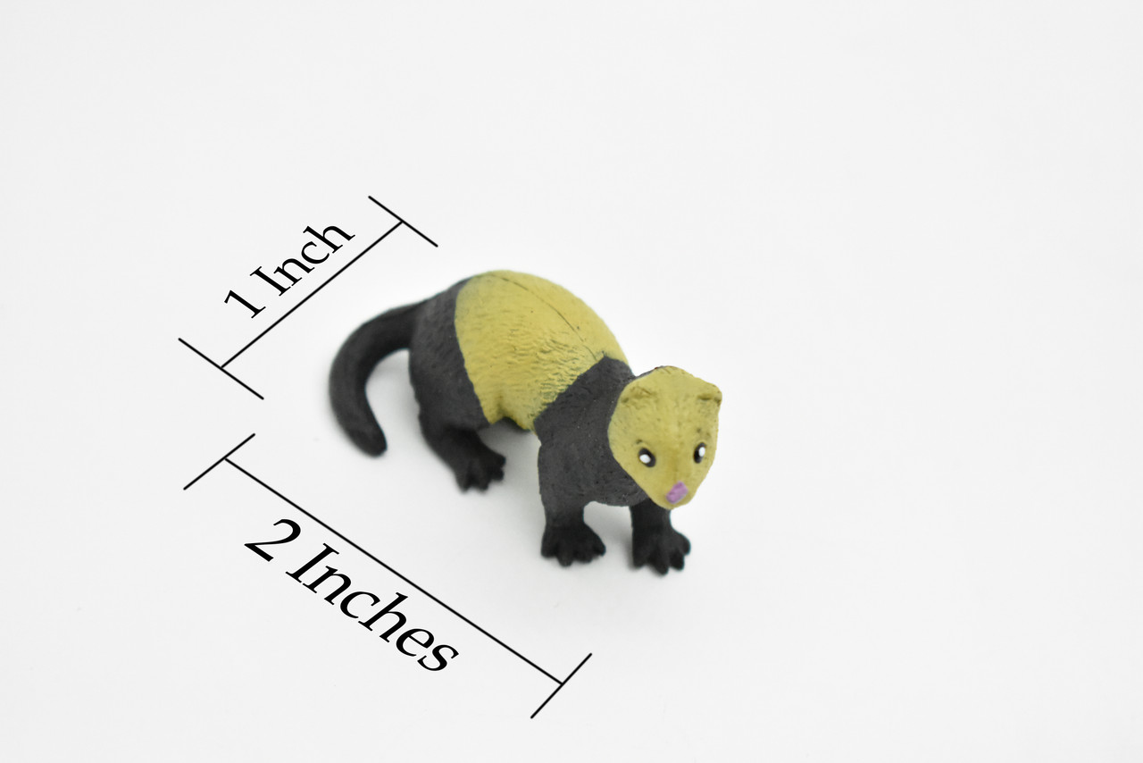 Ferret, Realistic, Educational, Hand Painted, Plastic Animal Design, Figure, Lifelike, Model, Replica, Gift    2 Inches. 