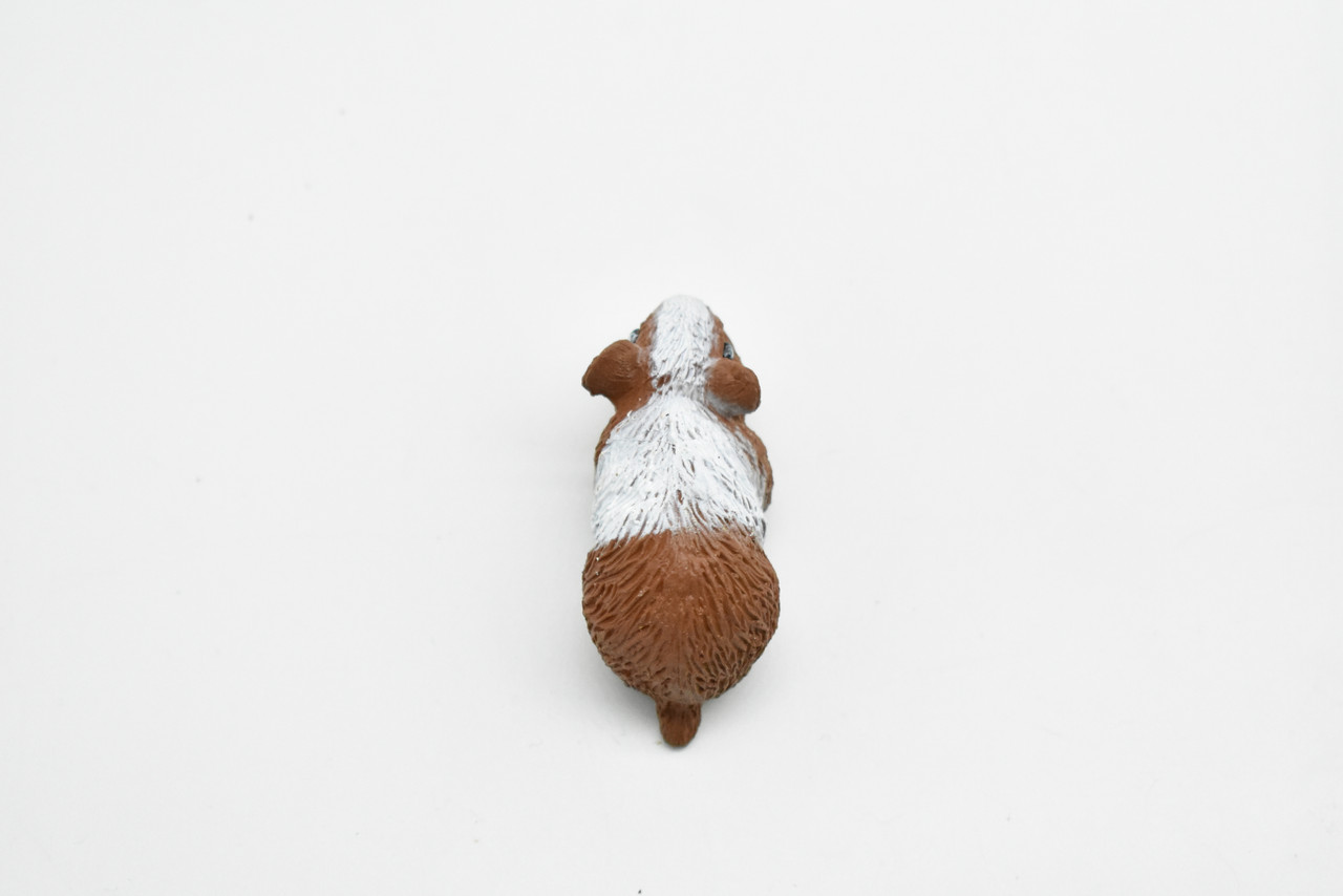 Guinea Pig, Educational, Hand Painted, Plastic Animal Design, Figure, Lifelike, Realistic Model, Replica, Gift    2 Inches.    CWG233 B306