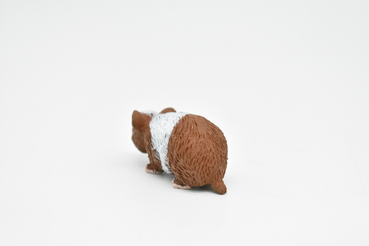 Guinea Pig, Educational, Hand Painted, Plastic Animal Design, Figure, Lifelike, Realistic Model, Replica, Gift    2 Inches.    CWG233 B306