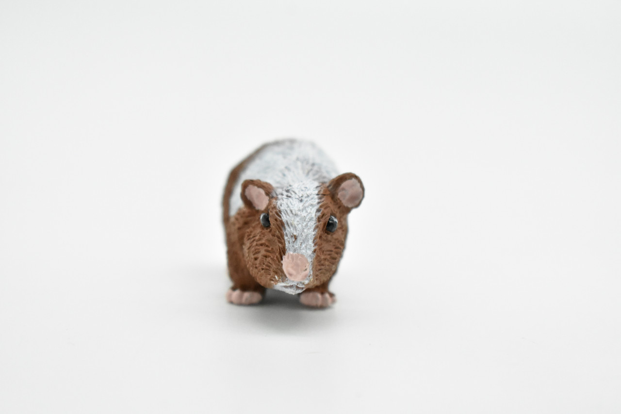 Guinea Pig, Educational, Hand Painted, Plastic Animal Design, Figure, Lifelike, Realistic Model, Replica, Gift    2 Inches.    CWG233 B306