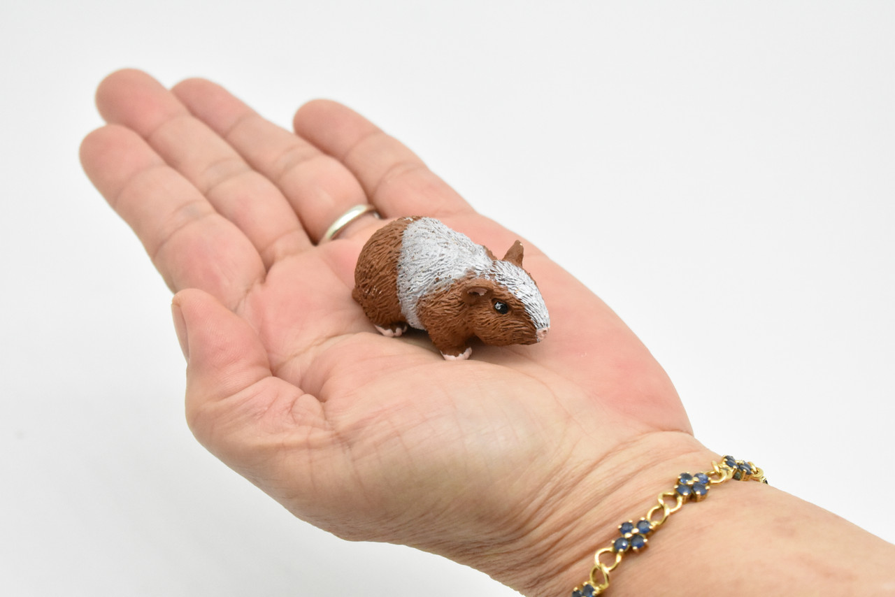 Guinea Pig, Educational, Hand Painted, Plastic Animal Design, Figure, Lifelike, Realistic Model, Replica, Gift    2 Inches. 