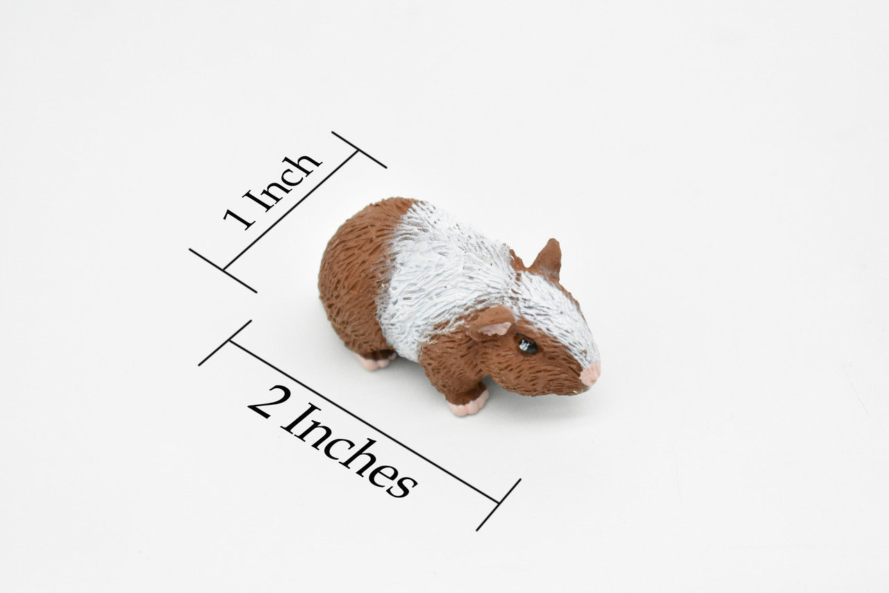 Guinea Pig, Educational, Hand Painted, Plastic Animal Design, Figure, Lifelike, Realistic Model, Replica, Gift    2 Inches. 