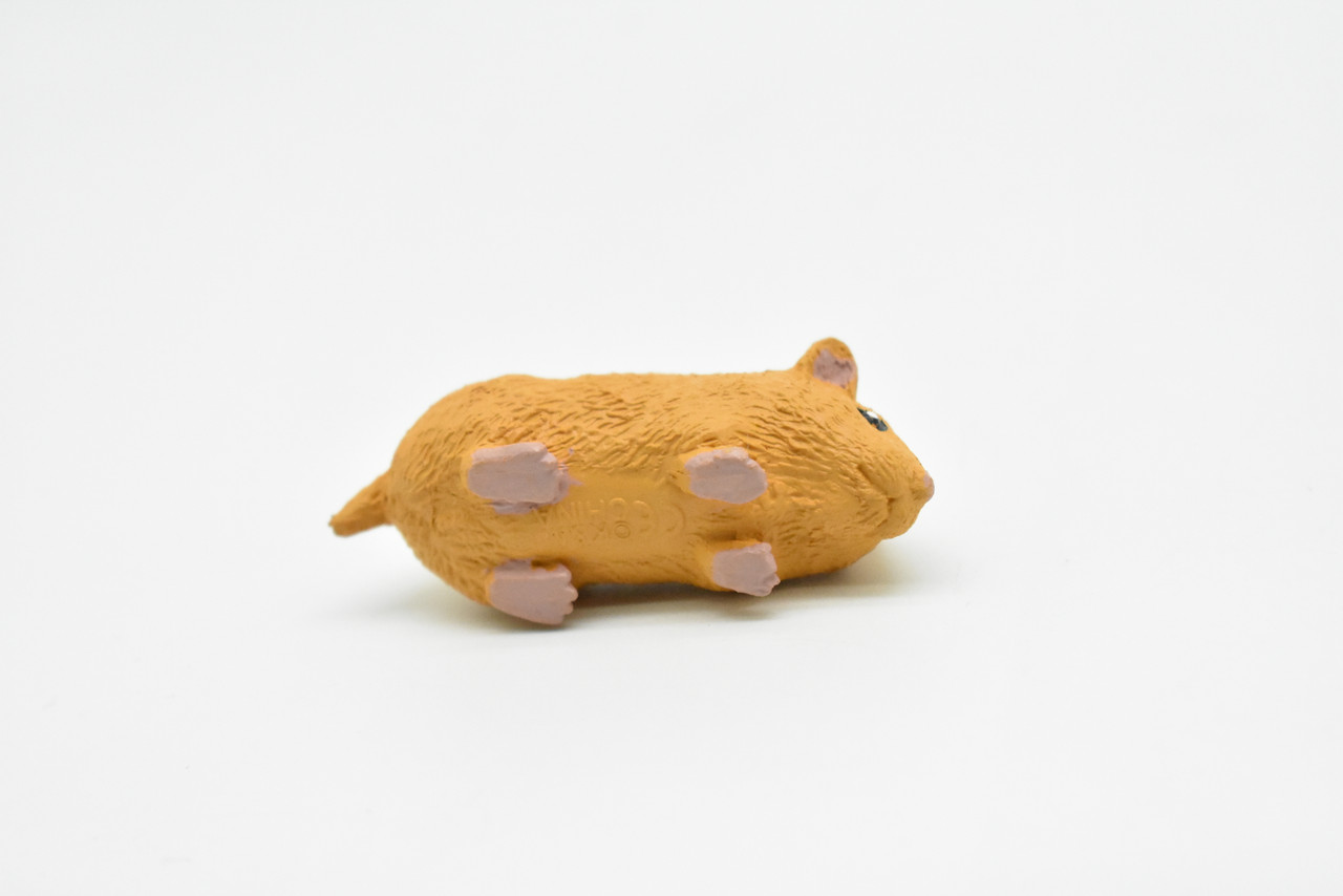 Hamster, Very Nice Plastic Animal, Educational, Toy, Kids, Realistic Figure, Lifelike Model, Figurine, Replica, Gift,     2"      CWG234 B306