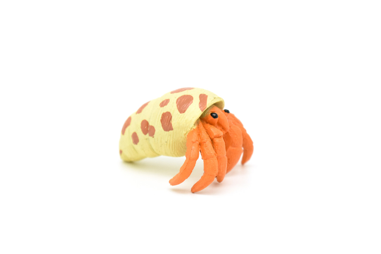 Hermit Crab, Plastic Crustaceans Design, Educational, Hand Painted, Toy, Kids, Realistic Figure, Lifelike Model, Gift,     2 Inches. 
