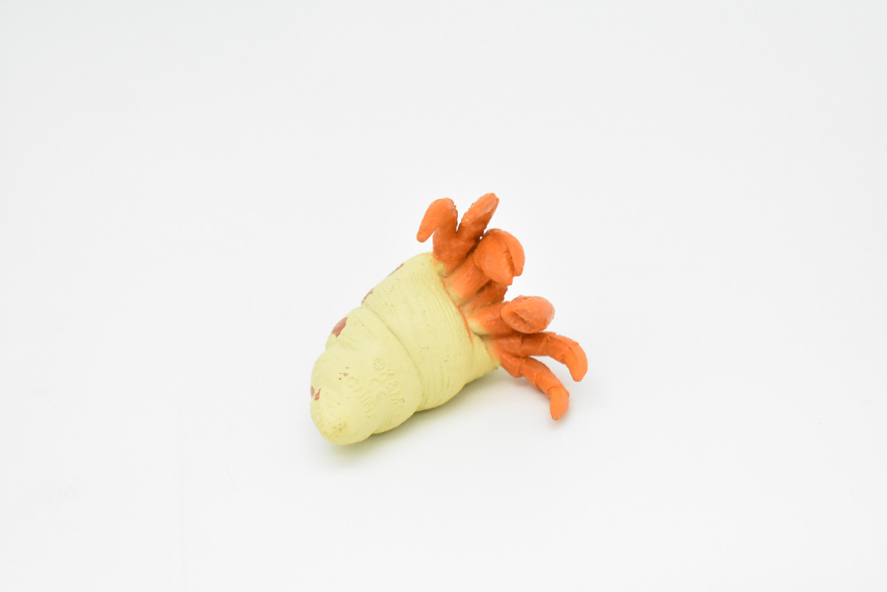 Hermit Crab, Plastic Crustaceans Design, Educational, Hand Painted, Toy, Kids, Realistic Figure, Lifelike Model, Gift,     2"      CWG236 B306