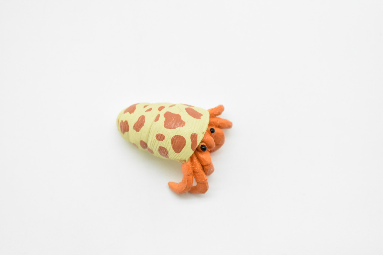 Hermit Crab, Plastic Crustaceans Design, Educational, Hand Painted, Toy, Kids, Realistic Figure, Lifelike Model, Gift,     2"      CWG236 B306