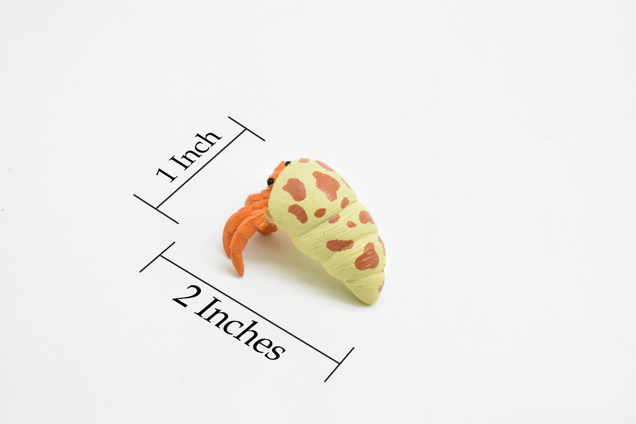 Hermit Crab, Plastic Crustaceans Design, Educational, Hand Painted, Toy, Kids, Realistic Figure, Lifelike Model, Gift,     2 Inches. 
