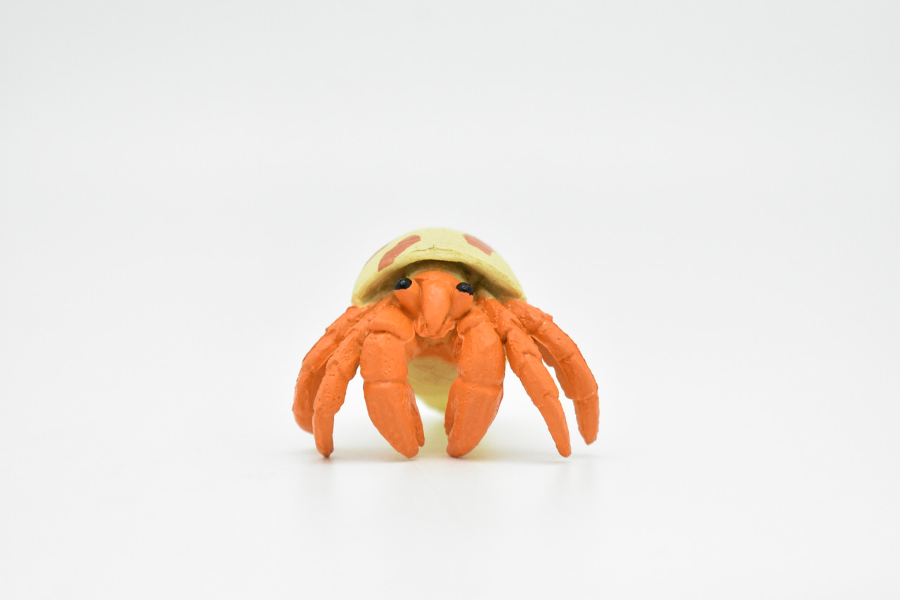Hermit Crab, Plastic Crustaceans Design, Educational, Hand Painted, Toy, Kids, Realistic Figure, Lifelike Model, Gift,     2 Inches. 