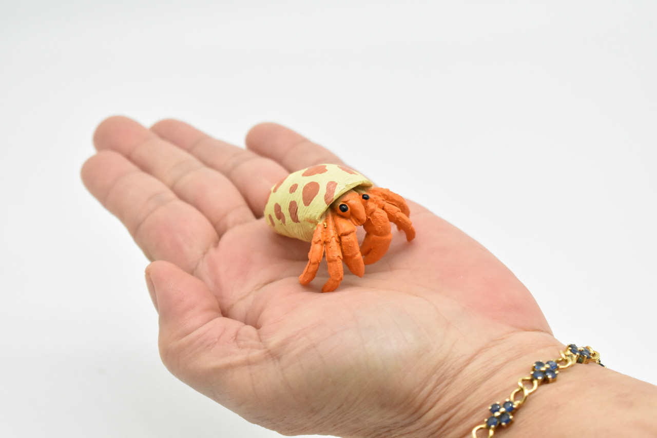 Hermit Crab, Plastic Crustaceans Design, Educational, Hand Painted, Toy, Kids, Realistic Figure, Lifelike Model, Gift,     2 Inches. 