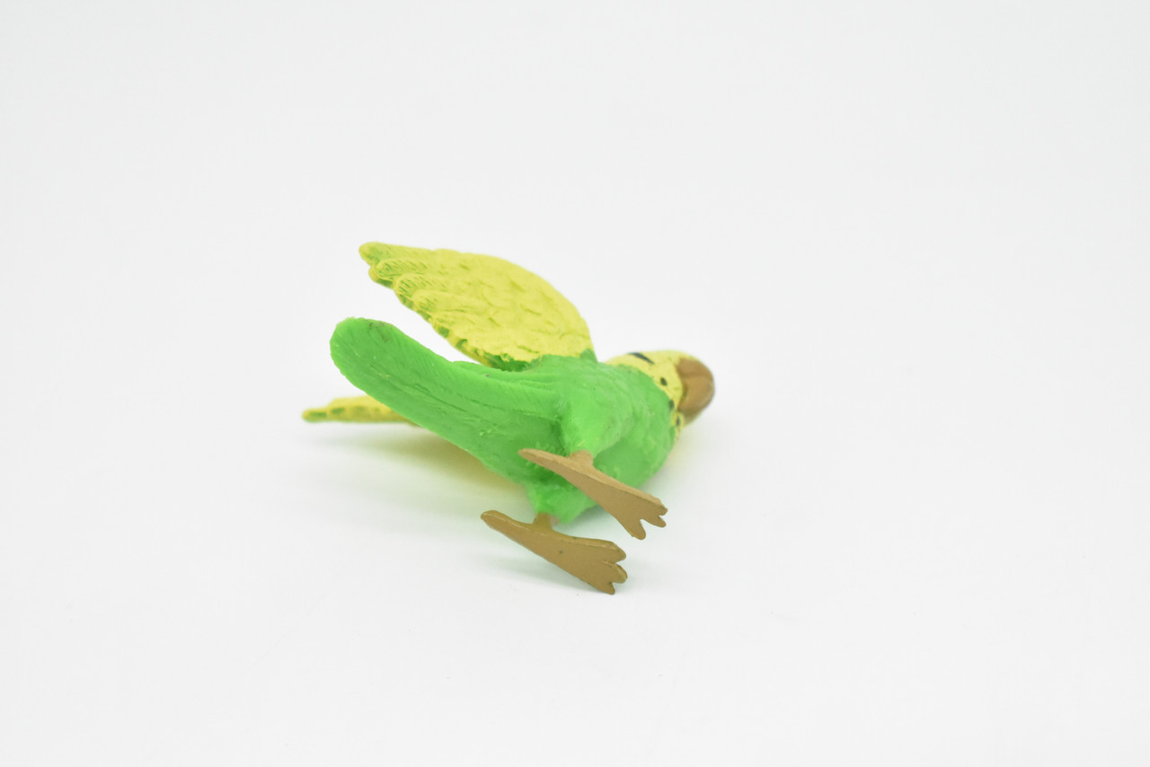 Parakeet, Budgerigar, Plastic Bird Design, Educational, Hand Painted, Toy, Kids, Realistic Figure, Lifelike Model,  Gift,   2 1/2 Inches.   CWG237 B306