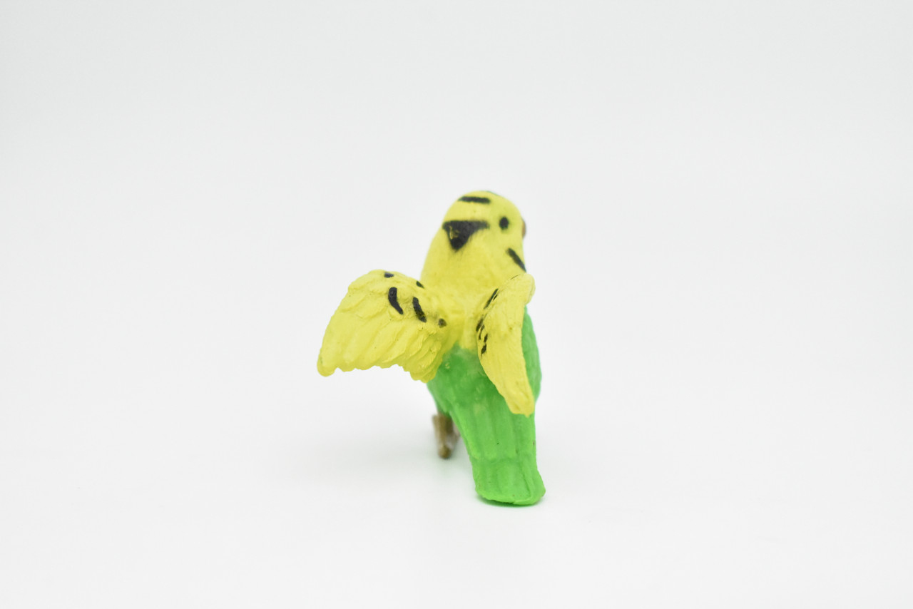 Parakeet, Budgerigar, Plastic Bird Design, Educational, Hand Painted, Toy, Kids, Realistic Figure, Lifelike Model,  Gift,   2 1/2 Inches.   CWG237 B306