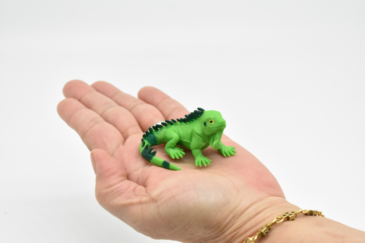 Iguana, Lizard, Plastic Reptile Design, Educational, Hand Painted, Realistic Figure, Lifelike Model, Toy, Kids, Gift,     2 1/2 Inches.