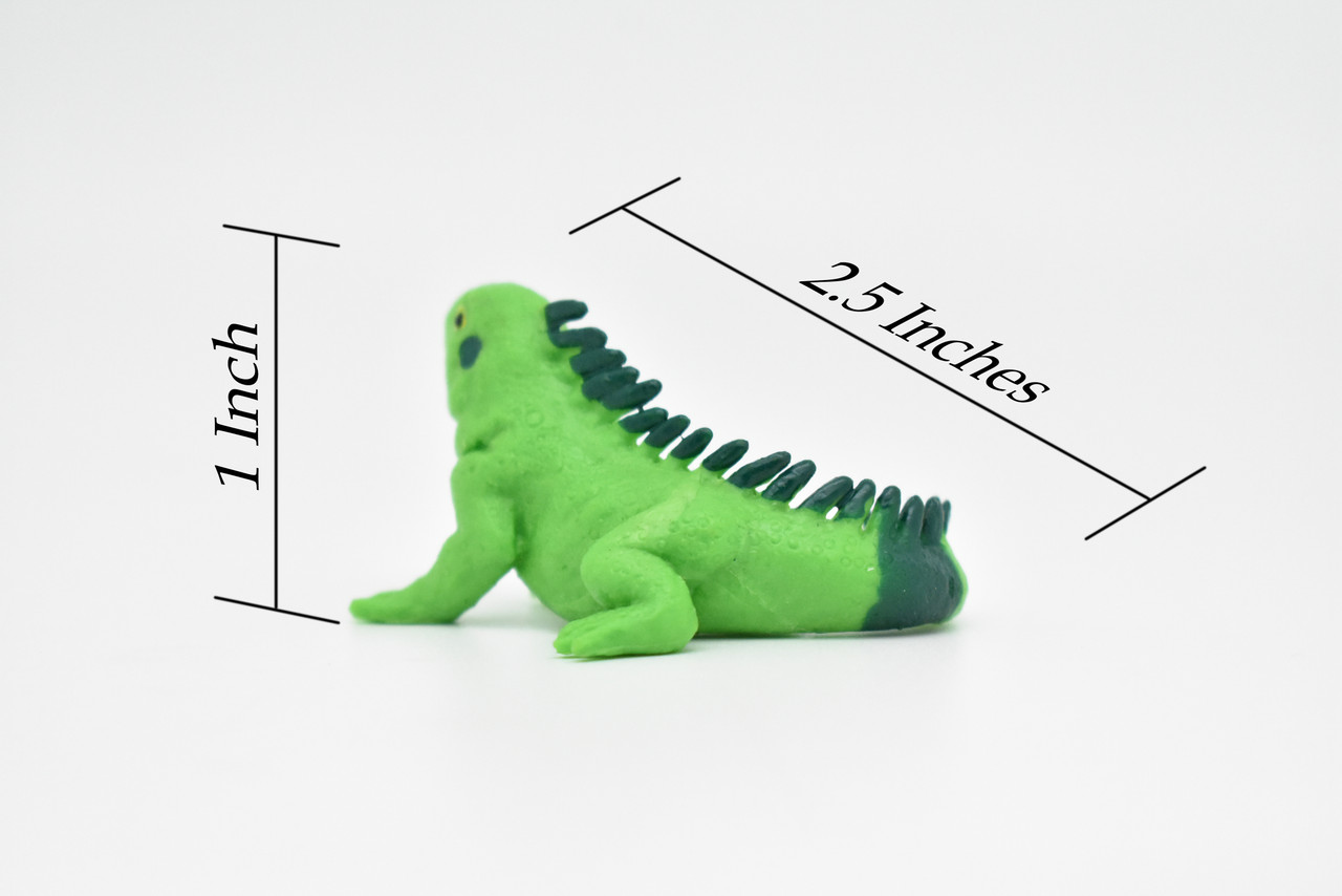 Iguana, Lizard, Plastic Reptile Design, Educational, Hand Painted, Realistic Figure, Lifelike Model, Toy, Kids, Gift,     2 1/2 Inches.