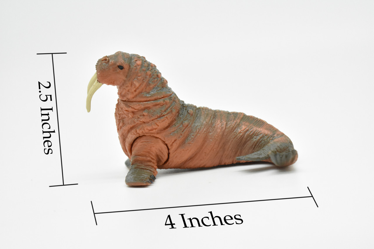 Walrus, Moveable Legs, Realistic Rubber Replica, Educational, Figure, Figurine, Animal, Life Like Toy, Hand Painted, Educational Model     4"    CWG242 BB42