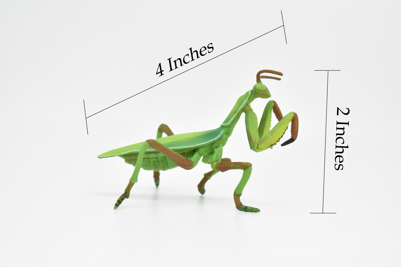 Praying Mantis, Museum Quality, Rubber Insect, Design, Educational, Hand Painted, Figure, Lifelike Toy, Model, Figurine, Replica, Gift,   4"      CWG243 B239