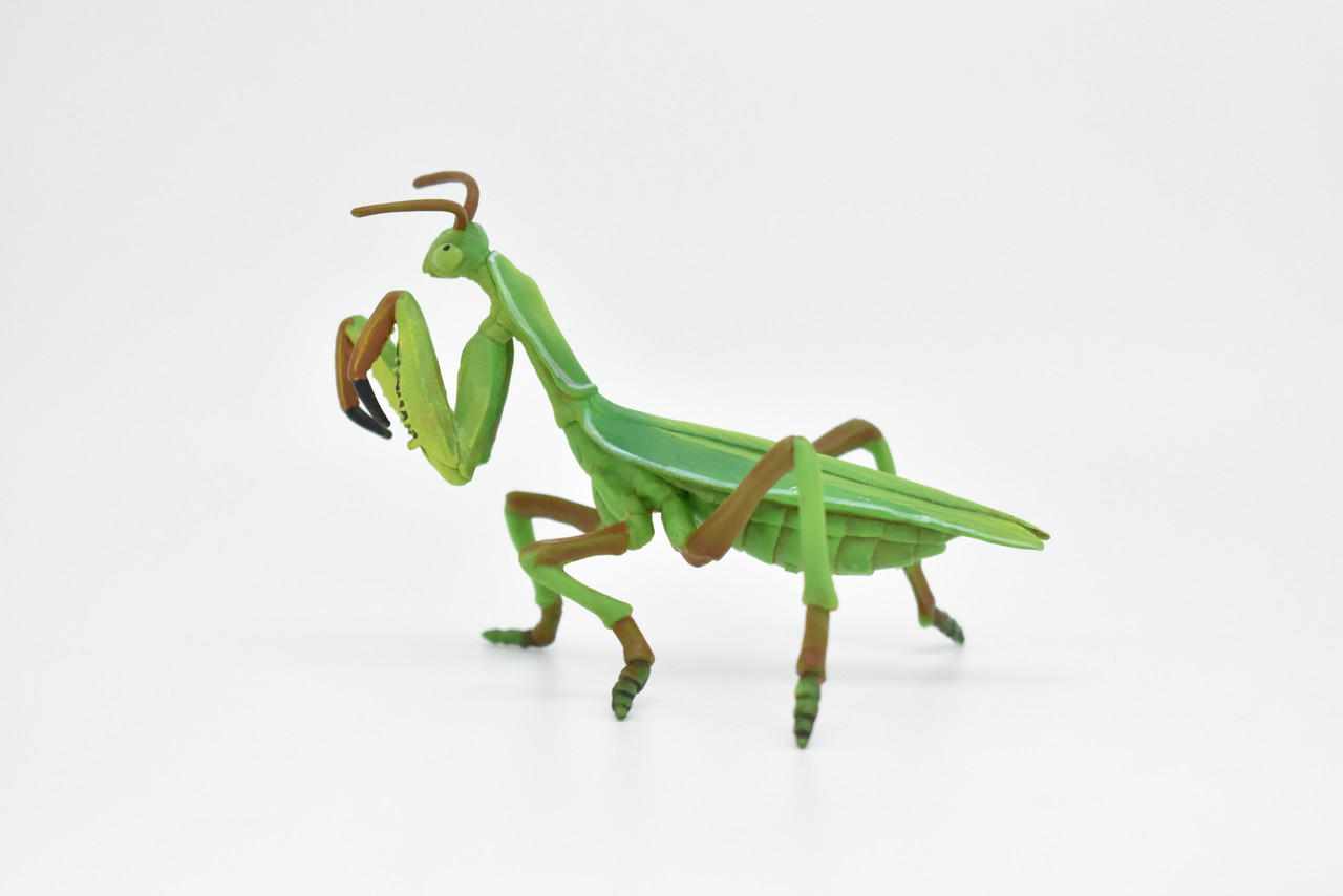 Praying Mantis, Museum Quality, Rubber Insect, Design, Educational, Hand Painted, Figure, Lifelike Toy, Model, Figurine, Replica, Gift,   4"      CWG243 B239