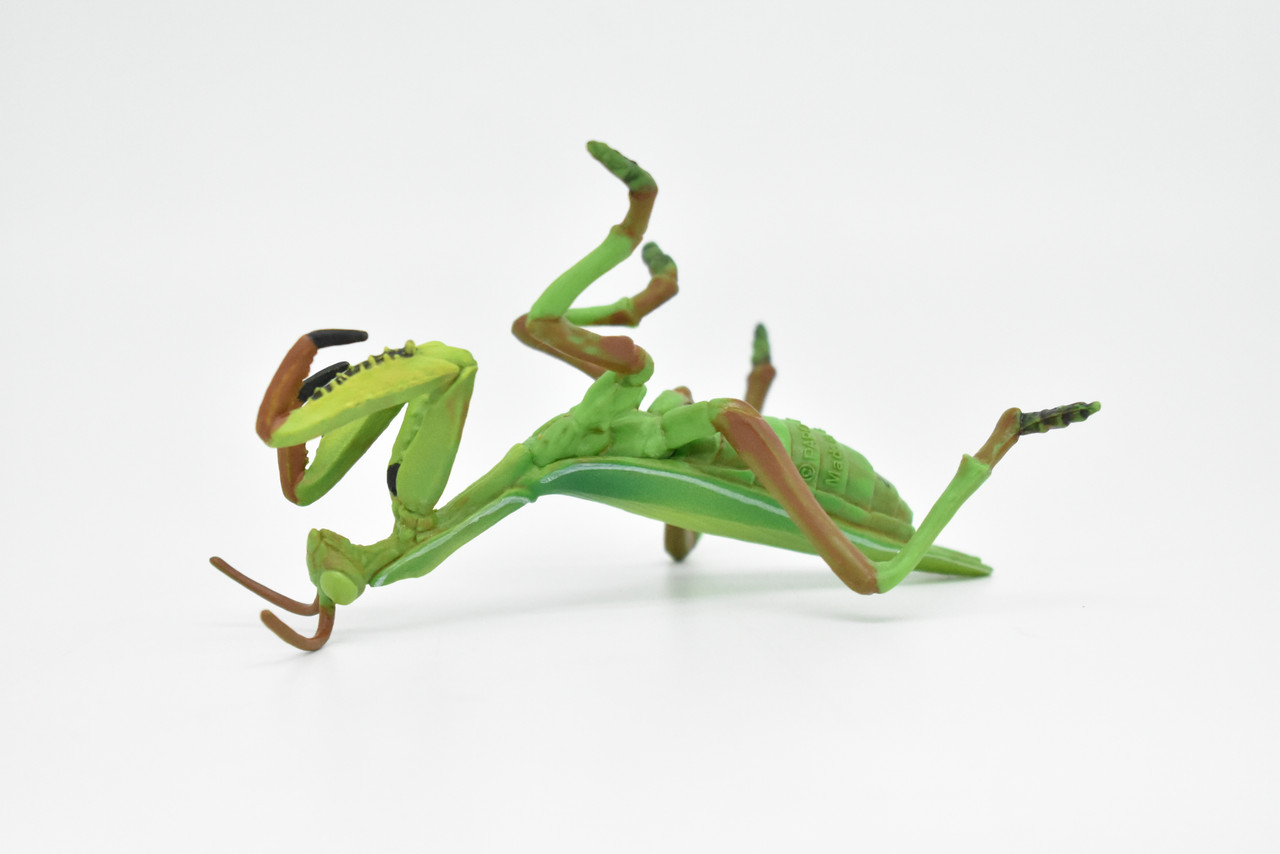 Praying Mantis, Museum Quality, Rubber Insect, Design, Educational, Hand Painted, Figure, Lifelike Toy, Model, Figurine, Replica, Gift,   4"      CWG243 B239