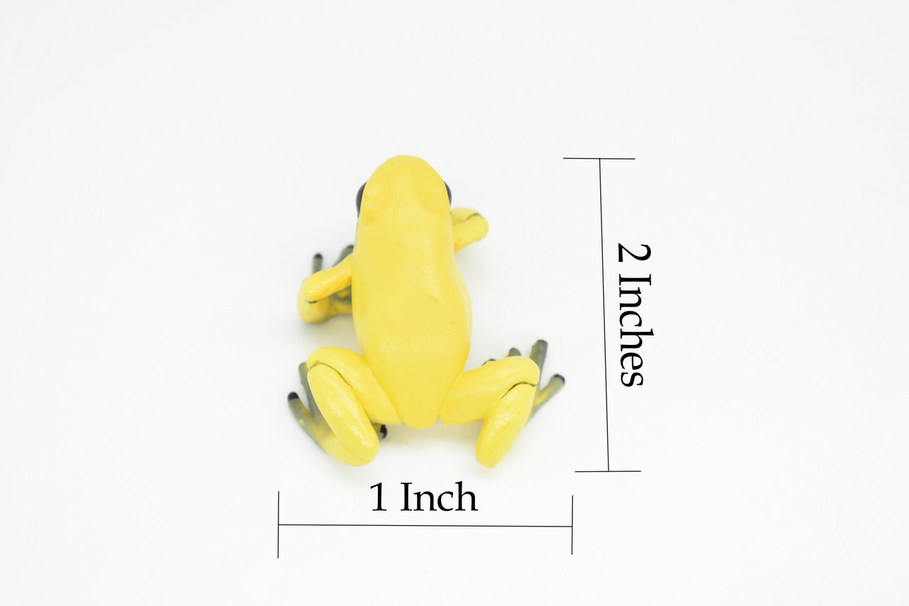 Frog, Yellow, Dart,  Museum Quality Rubber Animal, Educational, Toy, Kids, Realistic Hand Painted Figure, Lifelike Model, Figurine, Replica, Gift,   2"   CWG247 B239