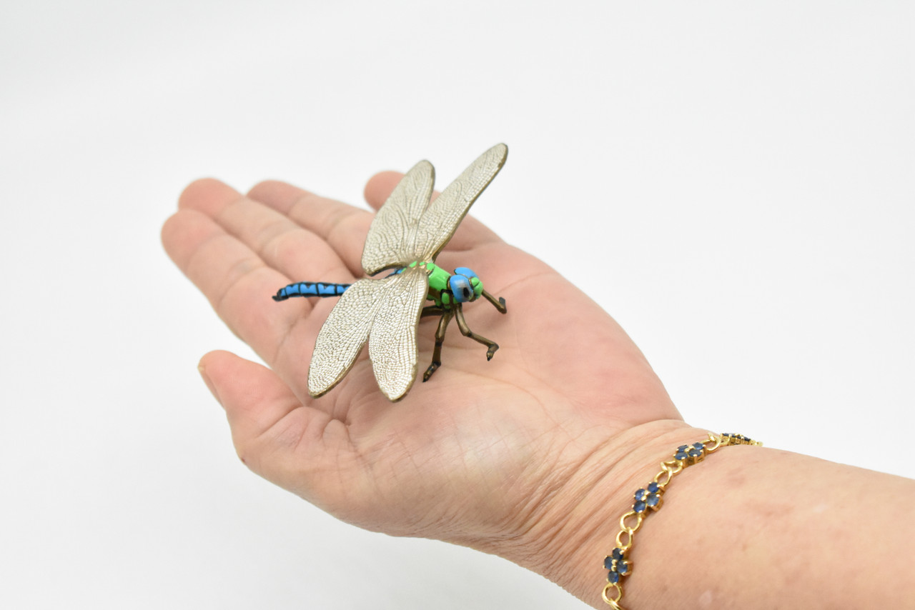 Dragonfly, Damsefly, Museum Quality Rubber Inscet, Educational, Realistic Hand Painted Figure, Lifelike Figurine, Replica, Gift,      4"      CWG251 B240