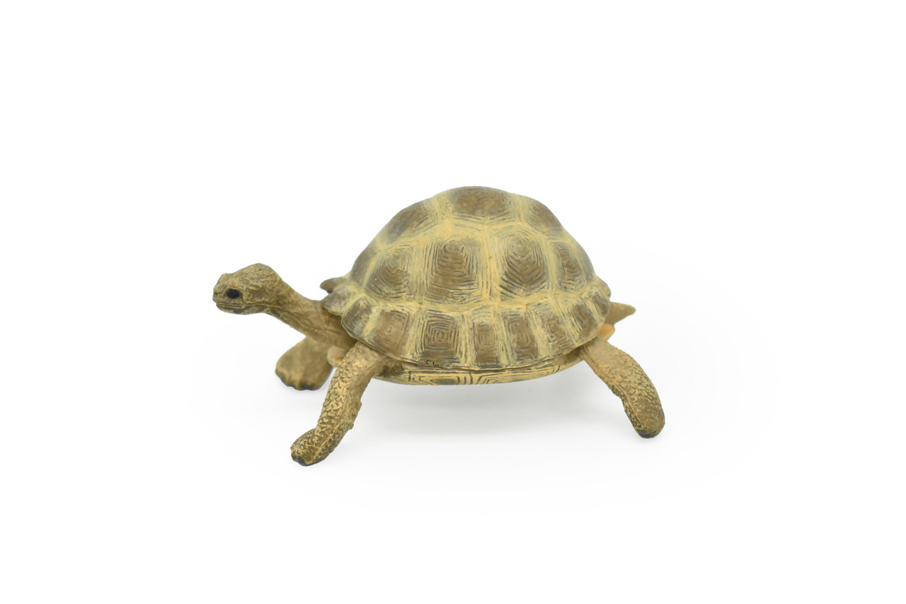 Tortoise, Turtle, Museum Quality, Rubber Reptile, Educational, Realistic Hand Painted Figure, Lifelike Figurine, Replica, Gift,        3"        CWG252 B240