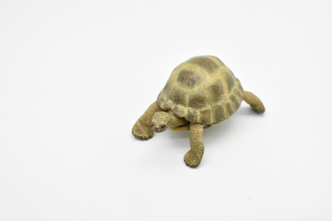 Tortoise, Turtle, Museum Quality, Rubber Reptile, Educational, Realistic Hand Painted Figure, Lifelike Figurine, Replica, Gift,        3"        CWG252 B240