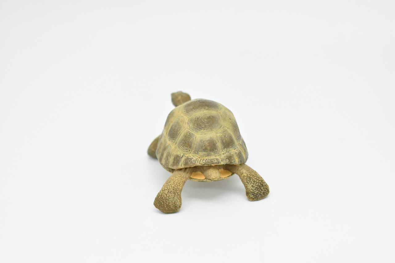 Tortoise, Turtle, Museum Quality, Rubber Reptile, Educational, Realistic Hand Painted Figure, Lifelike Figurine, Replica, Gift,        3"        CWG252 B240